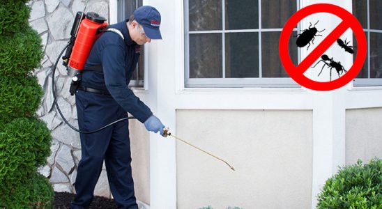 Güzelyalı Sivrisinek İlaçlama böcek ilaçlama ve haşere kontrolü — ilaclama-tr.com